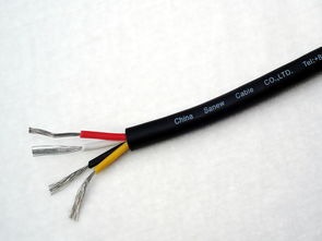 DJYP3VP3R 4×2×0.5 聚乙烯绝缘对绞铝塑复合带聚氯乙烯护套软计算机电缆
