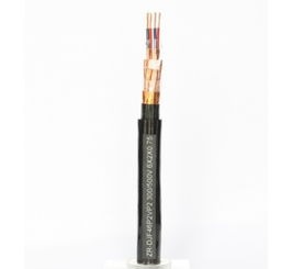 DJYPVPR 4×2×0.5 聚乙烯绝缘对绞铜线编织分屏蔽及总屏蔽聚